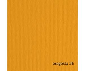 Cartoncino Elle Erre - 70 x 100 cm - 220 gr - aragosta 126 - blister 10 fogli - Fabriano - 46470126 - 8001348121930 - DMwebShop