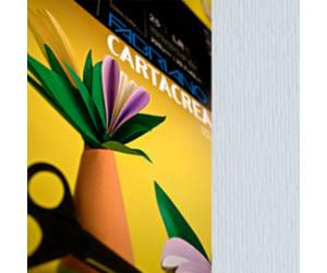 Cartoncino CartaCrea - 35 x 50 cm - 220 gr - perla - blister 10 fogli - Fabriano - 46435102 - 8001348127567 - DMwebShop
