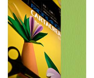 Cartoncino CartaCrea 35 x 50 cm 220 gr verde pisello blister 10 fogli - 10665
