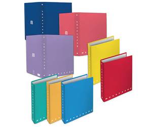 Raccoglitore Monocromo - 4 anelli tondi 30 mm - 26 x 32 cm - dorso 4 cm - colori assortiti - conf. 5 pezzi - Pigna - 001196330 - 8005235155244 - DMwebShop