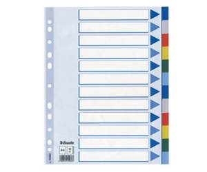Separatore - 12 tasti colorati - PPL - A4 - multicolore - Esselte - 15262 - 5902812152623 - DMwebShop