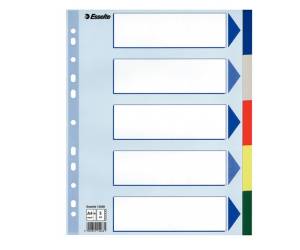 Separatore - 5 tasti colorati - PP - A4 maxi - 24,5 x 29,7 cm - multicolore - Esselte - 15266 - 5902812152661 - DMwebShop