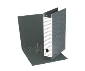 Registratore Delso Line G12 - dorso 5 cm - commerciale - 23 x 30 cm - grigio - Esselte - 390712060 - 8004157712061 - DMwebShop