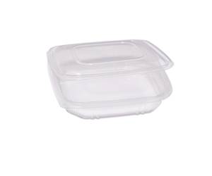 Contenitori in PP - con coperchio incernierato - 21,5 x 21,5 x 3,4 cm - pack 50 pezzi - Europack - 48431022 - 8007626780110 - DMwebShop