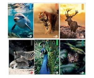 Maxiquaderno Animal fantasia A4,40,2 fogli 80 gr 4 mm - 25403