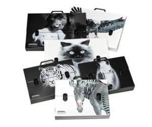 Valigetta polionda Animal Friends 38 x 53 cm dorso 5 cm fantasie assortite - 25438