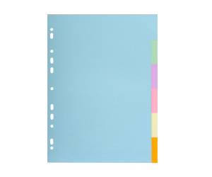 Separatore Forever A4,6 tasti cartoncino 170 gr Exacompta 1606E - 24819