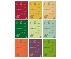 Maxiquaderno Be More Planet A4,5 mm con margine 38 fogli 80 gr - 26383