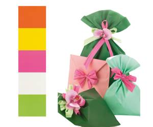 Busta regalo Mat Pearly B 16 x 25 cm 40 micron PPL assortimento 5 colori - 9014