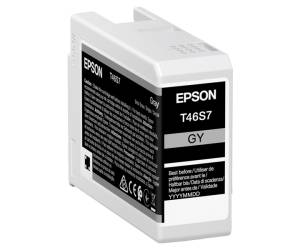 Cartuccia EPSON Inkjet UltraChrome Pro 10 Grigio T46S7,25 ml Originale - 9764