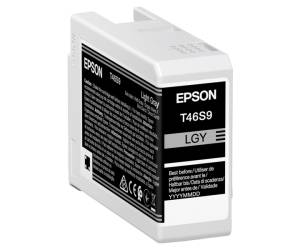 Cartuccia EPSON Inkjet UltraChrome Pro 10 Grigio T46S9,25 ml Originale - 9522