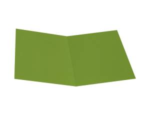 Cartellina semplice 200 gr A4 cartoncino bristol verde nilo - 656