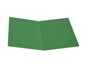 Cartellina semplice - 200 gr - cartoncino bristol - verde - conf. 50 pezzi - Starline - OD0113BLXXXAJ03 - 8025133123466 - DMwebShop