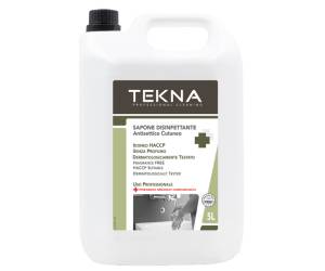 Sapone disinfettante senza profumo 5 lt - 27717