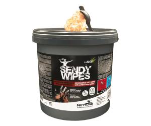 Salviette umidificate Sandy Wipes in secchiello 26 x 27 cm - 28281