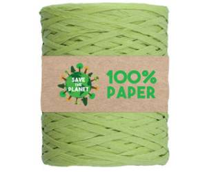 Nastro Rafia 100 mt carta verde 10 - 29319