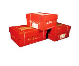 Carta in modulo continuo 37,5 x 12,60 gr piste staccabili confezione 2000 fogli - 11438