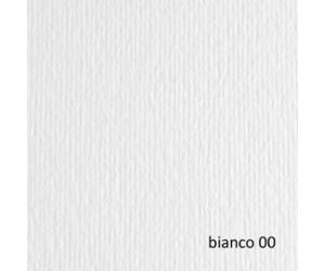 Cartoncino Elle Erre 70 x 100 cm 220 gr bianco blister 10 fogli Fabriano 46470100 - 17308