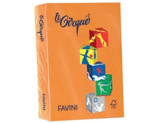 Carta Le Cirque - A4 - 160 gr - arancio 205 - conf. 250 fogli - Favini - A74E304 - 8025478320810 - DMwebShop