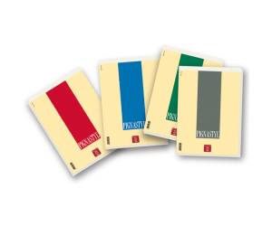 Blocco Pignastyl - A4 - 5 mm - 210 x 297 mm - 80 gr - 70 fogli - conf. 10 pezzi - Pigna - 02137485M - 8005235068957 - DMwebShop