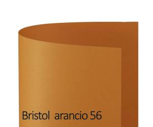 Cartoncino Bristol Color 50 x 70 cm 200 gr arancio 56 - 18568