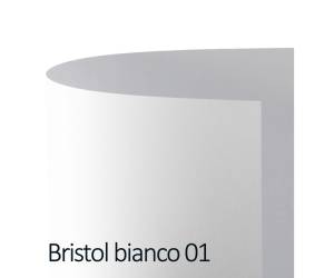 Cartoncino Bristol Color 50 x 70 cm 200 gr bianco - 01,18576