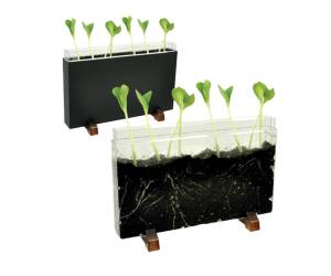 Contenitore Esplora il sottosuolo 30 x 19 x 4 cm - 23097