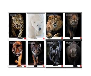 Maxiquaderno Animal A4,10 mm 42 fogli 80 gr - 25460