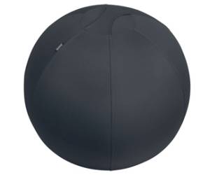 Palla Ergo Active - da seduta - 65 cm - grigio scuro - Leitz - 65420089 - 4002432134779 - DMwebShop
