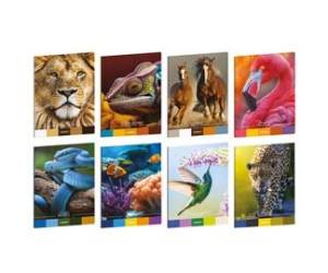 Maxiquaderno Animal Palette A4,1 rigo con margine 21 fogli 80 gr - 30450