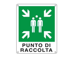 Cartello segnalatore 25 x 31 cm PUNTO DI RACCOLTA alluminio - E20153X - 8769122015393 - DMwebShop