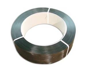 Reggia 15 x 0,5 mm plastica bobina da 900 m - 17564