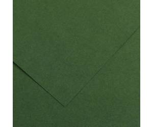 Foglio Colorline 70 x 100 cm 220 gr verde abete - 2351
