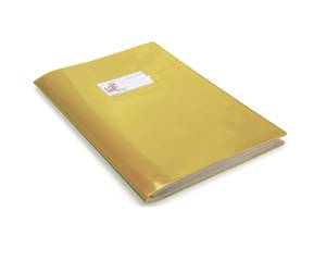 Coprimaxi Gold con alette 21 x 30 cm PVC 300 mic laccato colori assortiti expo 60 pezzi - 347 - 14