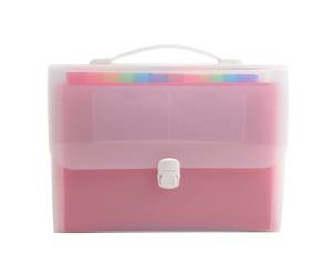 Classificatore valigetta con maniglia - cristallo - 33 x 29 cm - 24 tasche - Exacompta - 55698E - 3130630556985 - DMwebShop - 1