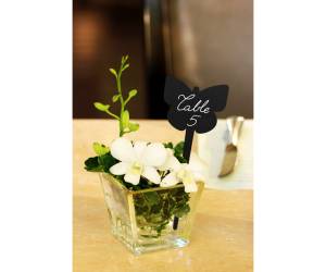 Silhouette Tags forma farfalla nero set 5 pezzi - 9704 - 1