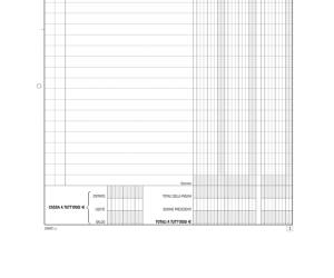 Blocco entrate-uscite extra cassa - 50 x 2 copie autoricalcanti - Data Ufficio - DU1683C0000 - 8008842593102 - DMwebShop - 3