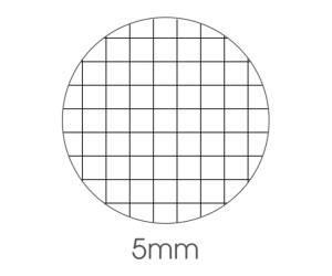 Maxiquaderno Be More Wild A4,36,2 fogli 100 gr 5 mm - 11391 - 1
