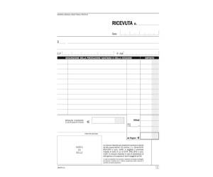 Blocco registro onorari-fatture ricevute sanitarie - 50-50 copie numerate autoricalcanti - 21,5 x 14,8 cm - Data Ufficio - DU16547N000 - 8008842585183 - DMwebShop - 1