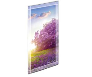 Album portafoto a busta saldato  - assortiti - 175 x 325 mm - contiene fino a 96 foto da 10 x 15 cm - Lebez - 2743 - 8007509027431 - DMwebShop - 7