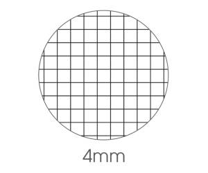 Maxiquaderno Sport fantasia A4,40,2 fogli 80 gr 4 mm - 25406 - 1