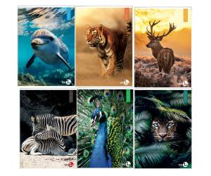 Maxiquaderno Animal fantasia A4,40,2 fogli 80 gr rigo di 3a - 25402 - 2