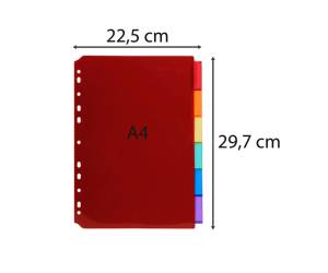 Intercalari neutri - PPL - A4 - trasparente - 6 posizioni - Exacompta - 3906E - 3130630039068 - DMwebShop - 2