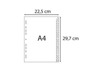 Intercalare alfabetico - PPL riciclato - A4 - A-Z - grigio - Exacompta - 1720E - 3130630017202 - DMwebShop - 2