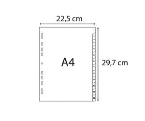 Intercalare numerico - PPL riciclato - A4 - 12 tasti - A-Z - grigio - Exacompta - 1912E - 3130630019121 - DMwebShop - 2