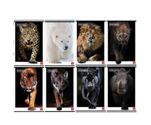 Maxiquaderno Animal A4,10 mm 42 fogli 80 gr - 25460 - 2