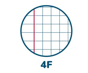 Maxiquaderno Citta A4,4 mm con margine 42 fogli 80 gr - 25557 - 1