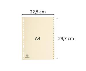 Separatori 24 tasti A Z cartoncino A4 avorio - 24799 - 1