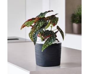 Vaso quadrato Capri 26 lt terracotta - 27535 - 1