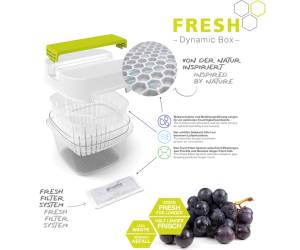 Contenitore per alimenti Dynamic Box Fresh 1,6 lt - 24888 - 3